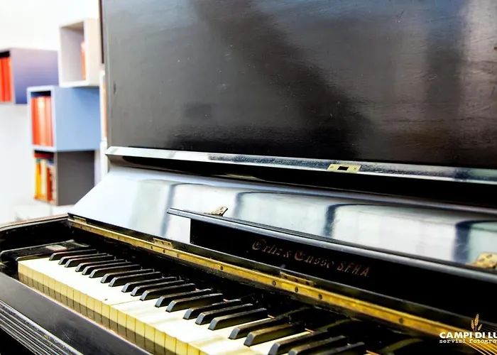 Orange Tree House Roma